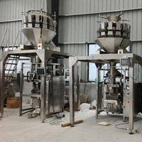 Machine automatique professionnelle de haute précision contrôlée par PLC pour l'industrie alimentaire et chimique, multi-matériaux (pâtes, ketchup, huile)