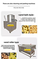Volledig Automatische Elektrische Motor 220V 1.5KW Commerciële Multifunctionele Groente Snijder/Hakker Fruit Wortel Aardappel Snijder 1