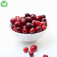 Arándanos Congelados Sin Transgénicos XMSD, Arándanos Frescos y Sin Azúcar, Lingonberries Congelados, Buen Sabor, Bolsa de Arándanos Congelados