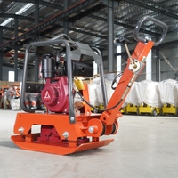 Compacteur à plaques vibrantes professionnel pour asphalte, couleur personnalisée, logo, service OEM, alimentation essence pour la construction routière