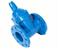 Vanne de coupure mécanique antivol verrouillable, Vanne d'isolement pour compteur d'eau PN16 en fonte ductile à brides, 2 à 12 pouces, OEM pour système d'alimentation en eau