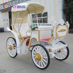<span class=keywords><strong>Chariot</strong></span> à chevaux électrique unique <span class=keywords><strong>chariot</strong></span> à chevaux magique pour princesse transport à <span class=keywords><strong>cheval</strong></span> élégant pour toutes les occasions - Product Image 2
