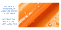 Vinilo de Corte Oracal Autoadhesivo Removible Ecológico Resistente al Agua Superficie Brillante 0.1mm de Grosor