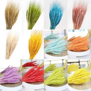 Haute qualité fleur naturelle séchée <span class=keywords><strong>orge</strong></span> fleur <span class=keywords><strong>blé</strong></span> <span class=keywords><strong>d</strong></span>écoration Bouquet Arrangement séché oreille <span class=keywords><strong>de</strong></span> <span class=keywords><strong>blé</strong></span> - Product Image 6