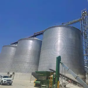 10-5000 Toneladas Silo de Aço de Grão para Serragem/Paddy/Milho/Sorgo Armazenamento