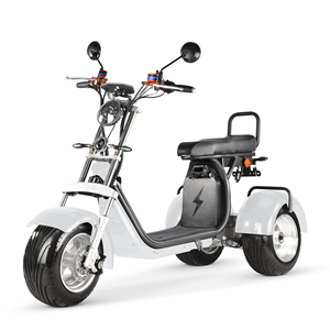 Tricycle <span class=keywords><strong>électrique</strong></span> pliable en gros 2026, pneu gras de 10 pouces, vélo cargo <span class=keywords><strong>électrique</strong></span> à 3 roues, tricycle à pneus gras pour adultes - Product Image 3
