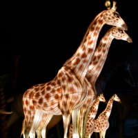 Lanterne chinoise personnalisée de grande taille pour parc à thème, événement nocturne en plein air ou en intérieur, décoration lumineuse, lanternes sur le thème des animaux