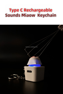 Nouvelle tendance LED son Miaow chat TYPE-C porte-clés Rechargeable chaton porte-clés électrique Anime porte-clés jouet pour la décompression amusante - Product Image 6