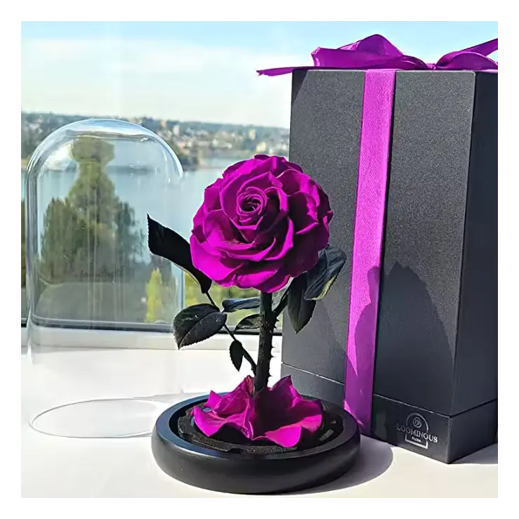 Bunga mawar grosir kubah kaca abadi mawar roas naturales hadiah valentine mawar yang diawetkan dalam kotak hadiah kaca