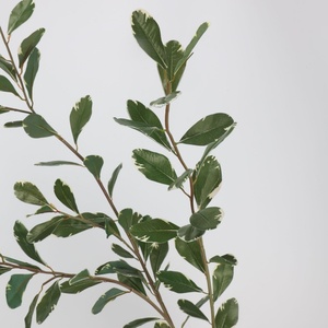 Nouvelle Arrivée 2026 – Feuilles de Citron Artificielles à Longue Tige 112cm, Feuilles de Ruscus Artificielles Vertes en Latex pour Décoration Maison et Mariage - Product Image 5