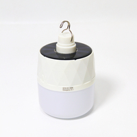 Vente en gros personnalisée Ampoule à énergie solaire rechargeable pour lampe de chargement d'urgence étanche 100w Led