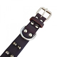 Collier pour chien en cuir pleine fleur anti-morsure à pointes, vente en gros, directement de l'usine, collier tactique robuste pour animaux de compagnie