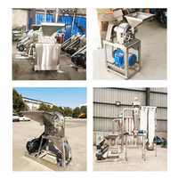 Machine à moudre le piment de Cayenne électrique en acier inoxydable SUS304 avec moteur 5,5 kW pour la transformation alimentaire, production de 20 à 1000 kg/h