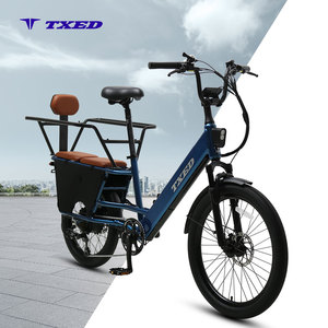 TXED 48V 500W Electric Cargo Bike 14Ah Long Life Battery Torque Sensor Smooth <b>Drive</b> Hydraulic <b>Disc</b> Brake Delivery E-bicycle - Product Image 1