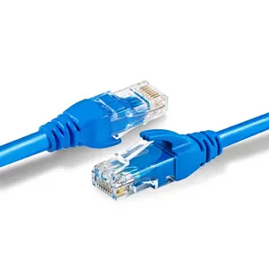 Rj45 Cat6 Utp Patchkabel 30Cm, Slaag Test 30Cm-30M