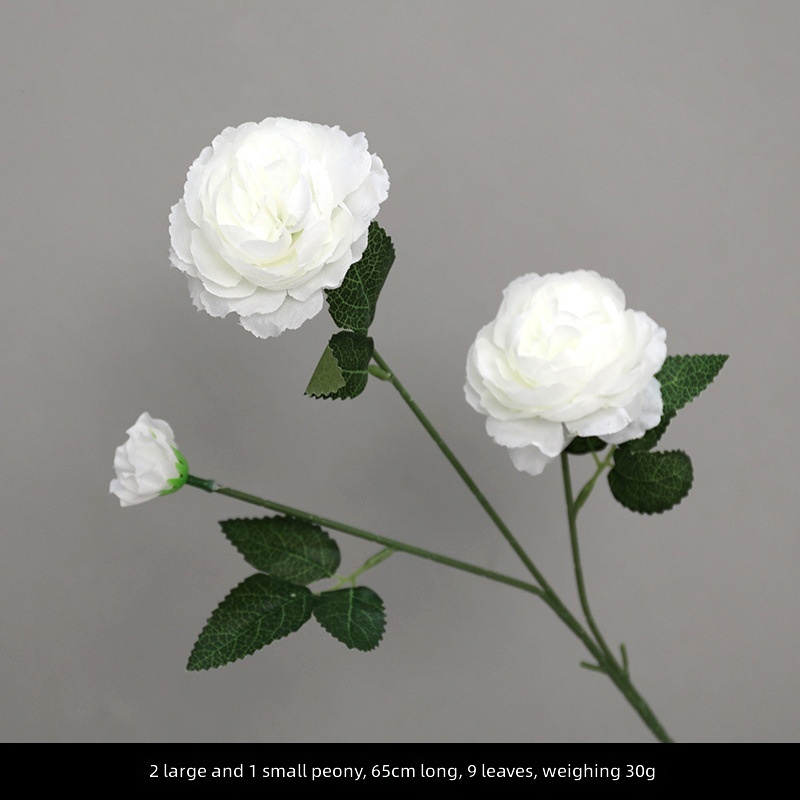 2 grandes 1 petite pivoine