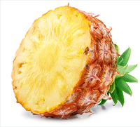 Bromelaïne 2500 GDU/g Poudre d'enzyme d'ananas Enzyme digestive Vente en gros