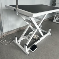 Table de toilettage pour animaux de compagnie, table de beauté électrique avec levage hydraulique, table de beauté imperméable pour animaux de compagnie, table de beauté universelle pour chiens et chats, table de beauté circulaire à levage pneumatique