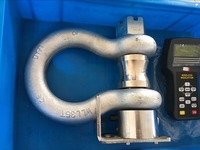 Capteur de pesage sans fil EQW-2D 500 tonnes pour grappin