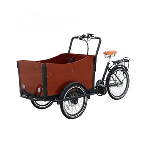 Oem Fruit Vending Winkelwagen Persoonlijke Oem 3 Wiel Elektrische Driewieler Smart Mini Cargo Fiets Te Koop