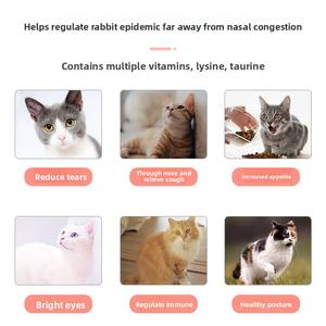 Suplemento veterinario de vitamina taurina lisina OEM ODM para gatos nutrición de mascotas de plástico para reducir el herpesvirus felino mejorar la salud - Product Image 2