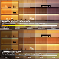 Doble blanco CCT COB 5M 24V Color blanco sintonizable 2700K ~ 6500K CCT COB tira de luz LED para debajo del Gabinete dormitorio Cocina
