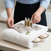 Kit d'articles de toilette jetables haut de gamme pour hôtels, ensemble complet d'articles de toilette pour hôtels de luxe