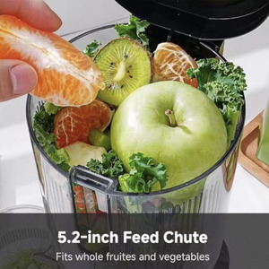 Nhà Máy bán hàng trực tiếp mạnh mẽ Báo Chí lạnh dọc chậm máy ép trái cây tự động trái cây tươi Máy ép trái cây máy - Product Image 2