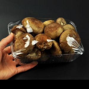 Bán Buôn trong suốt nhựa dùng một lần thực phẩm khay Pet vỏ sò trái cây rau tươi hộp - Product Image 5