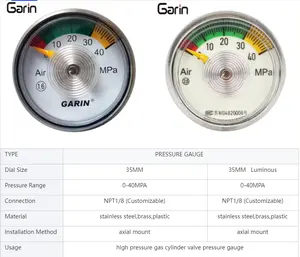 उच्च दबाव गैस सिलेंडर के लिए उच्च गुणवत्ता अच्छी कीमत डायल 35MM 40MPA दबाव गेज का उपयोग