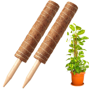 Piquets de Support de plante naturelle Totem en mousse de noix de Coco, bâton de Coco, plante grimpante, jardin extensible, Fiber de Coco, poteau de mousse empilable