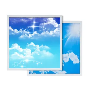 Großhandel blauer Himmel und weiße Wolken Vierkant 600 × 600 Decken-LED-Panel-Lichter mit anpassbaren Mustern für Innendekoration