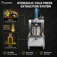 Presse hydraulique à froid BANMO 10-300 tonnes réglable en acier inoxydable 304 pour l'extraction de jus de fruits et légumes, presse à raisin industrielle CE