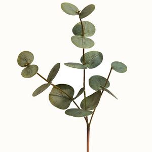 Planta Artificial de Eucalipto Yihua Floral Art, Hojas Verdes, Decoración Nórdica para el Hogar, Vegetación Interior - Product Image 5