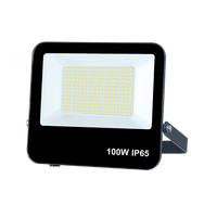 Projecteur LED SMD CHZ IP65 à économie d'énergie, rendement financier élevé pour les applications d'entrepôt