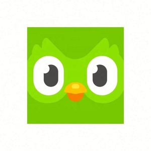 บัญชี Duolingo Pro ระดับพรีเมียม 1 ปี ใช้ได้ทั่วโลก เปิดใช้งานบัญชีของคุณเอง - Product Image 4