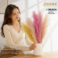 Bâtonnets de fleurs de roseaux couleur moutarde, grandes et petites, fleurs de pampa blanches naturelles préservées pour salon
