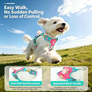 Harnais pour animaux de compagnie réglable et durable avec laisse, design classique et simple, motif uni, gilet en maille douce pour chiot, promenade en extérieur - Product Image 2
