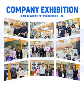 Litière pour chat en manioc, sans poussière, haute performance, durable, marque privée, vente directe usine - Product Image 6