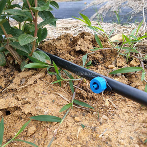 <span class=keywords><strong>Goutteur</strong></span> en plastique certifié ISO <span class=keywords><strong>2L</strong></span>/<span class=keywords><strong>H</strong></span> 4L/<span class=keywords><strong>H</strong></span> 8L/<span class=keywords><strong>H</strong></span>, <span class=keywords><strong>goutteur</strong></span> PC pour l'irrigation des serres et des fermes, <span class=keywords><strong>goutteur</strong></span> pour arbres - Product Image 6