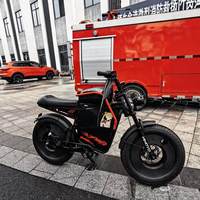 Vélo électrique de ville 500W avec frein à disque hydraulique électronique, cadre en acier inoxydable, assistance au pédalage, longue autonomie, roue de 22 pouces, Australie