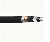 Câble d'alimentation moyenne tension Zhongkai AXLJ-F 1*95/25mm² 12/20(24)kV en aluminium avec gaine XLPE PE, 500m, installation fixe en extérieur