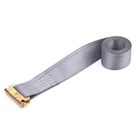 E-track Grey Wbbeing Color Ratchet Straps 2000KG Correa de amarre para transporte