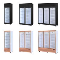 Réfrigérateur à double porte grande capacité, vitrine en verre plein écran, style usine, pour KTV et clubs, refroidisseur de bière, modèle populaire sur internet