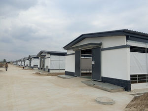 Cobertizo para vacas con estructura de acero de diseño moderno, cobertizo para granja de ganado de bajo costo, edificio personalizado para ganado - Product Image 2