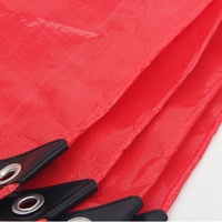Bâche en PE enduite robuste, imperméable et coupe-vent pour abri de jardin extérieur, bateau, voiture, camion, auvent, voile d'ombrage, couverture pour animaux de compagnie, en rouleau