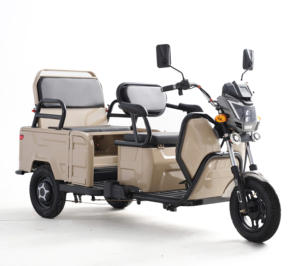 Tricycle électrique silencieux pour événements professionnels, <span class=keywords><strong>transport</strong></span>, livraison de courrier et de <span class=keywords><strong>colis</strong></span>, accessoires - Product Image 3