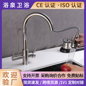 Austenite 3-In-1 Pull-Out Kitchen Faucet 304 Stainless Steel Easy Cleaning Mixer Tap For Direct Drinking Water - Product Image 4