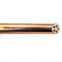 BTTZ 450/750 Fábrica al por mayor Cables con aislamiento mineral Alambre de núcleo de vaina de cobre Conductor de cobre Aislamiento de óxido de magnesio