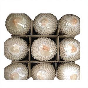 มะพร้าวอ่อนสด บรรจุ 9 ลูก/ 12 ลูก ในกล่อง พร้อมส่งออก - Product Image 1